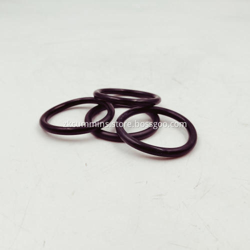 70624 Cummins O Ring Seal